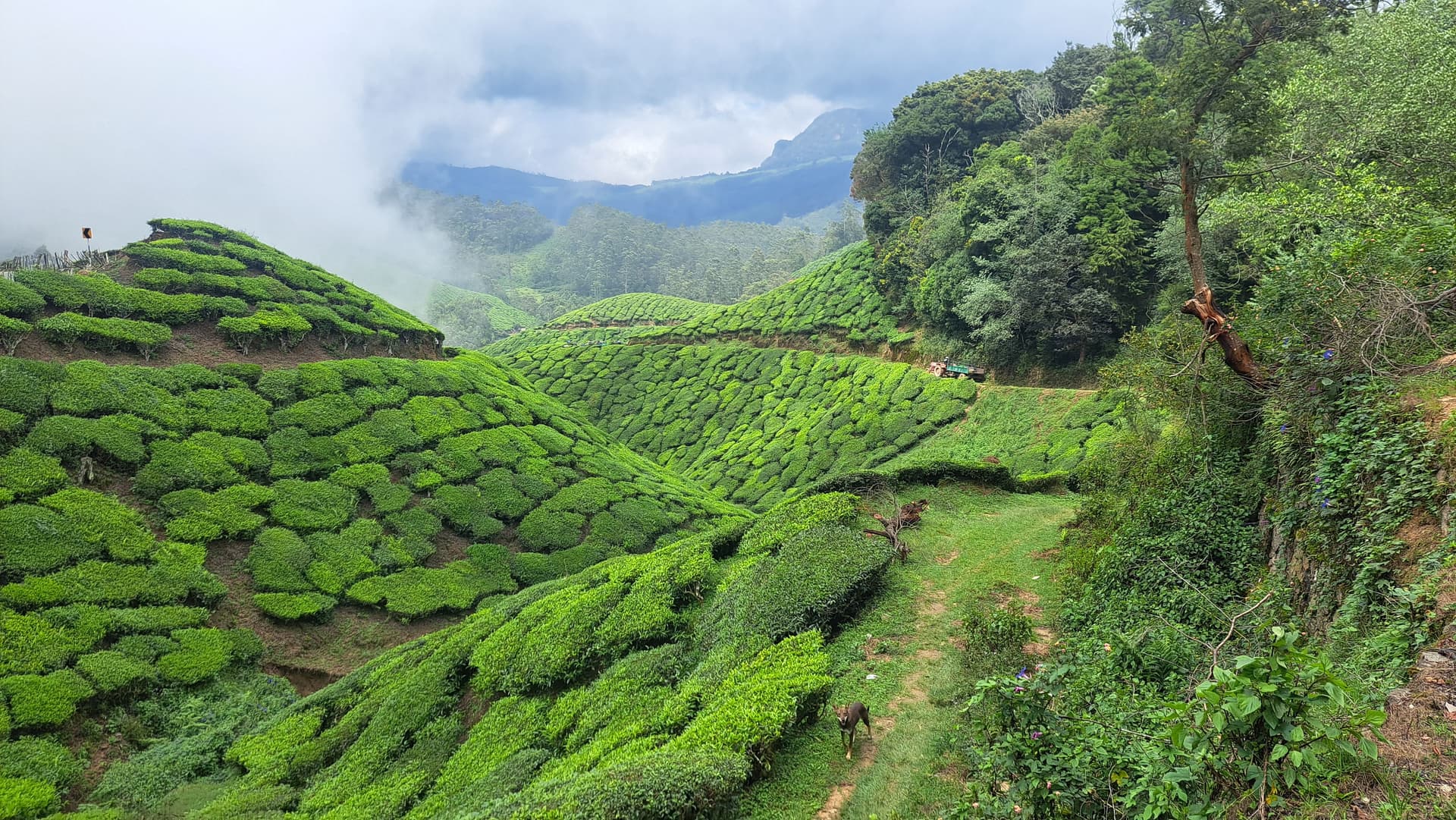 India del Sud - Scatto 2