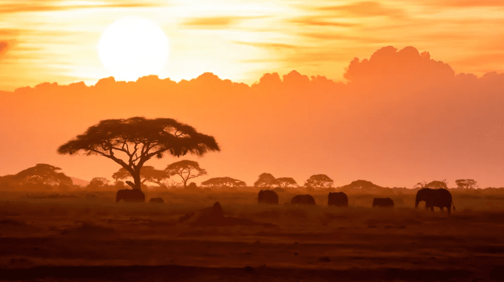 VIAGGIO IN NAMIBIA 1