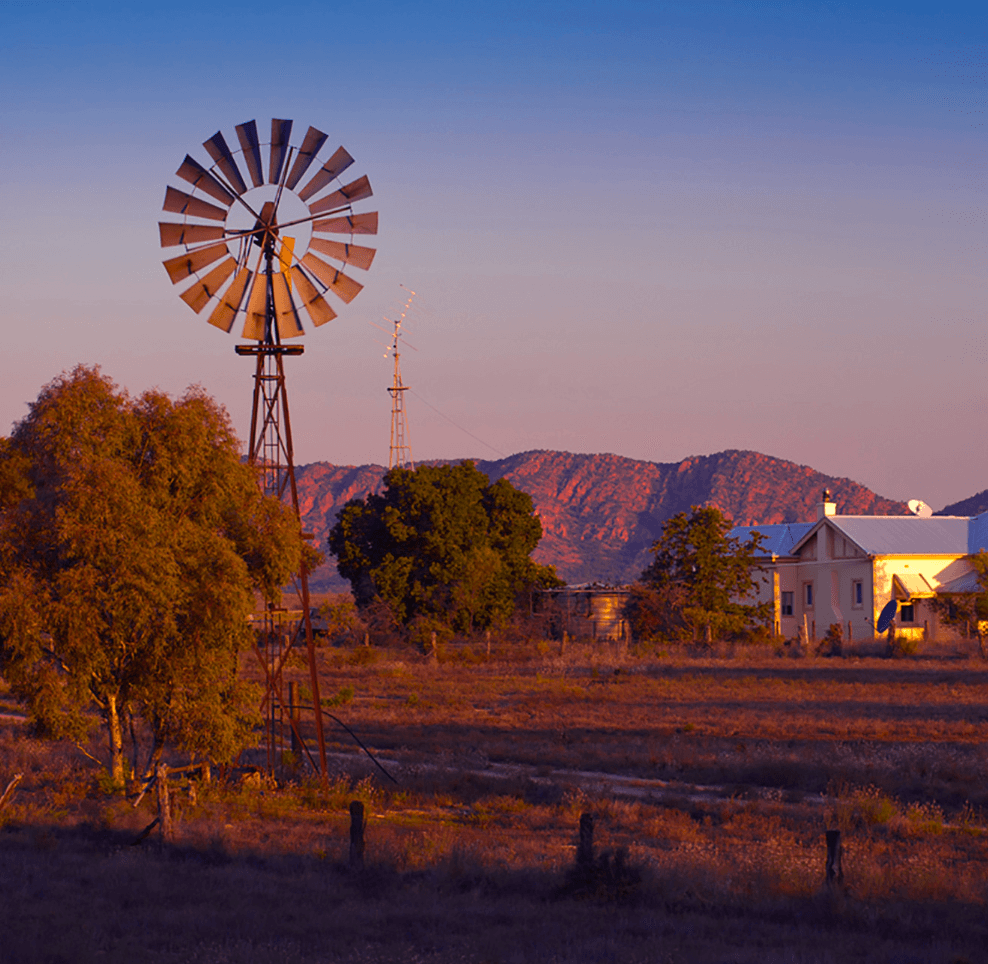 Australia, fauna e flora tra vigneti e outback - Scatto 3