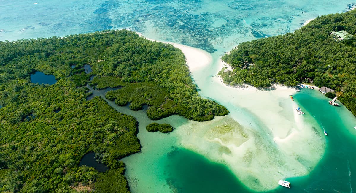 MAURITIUS MARE, TRADIZIONE & SCOPERTA 73
