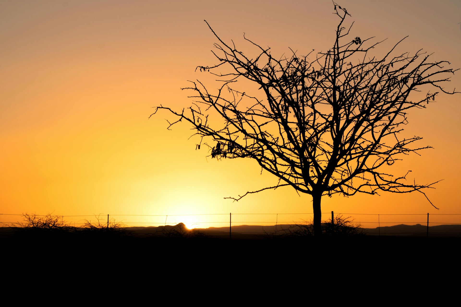 Namibia in libertà 2
