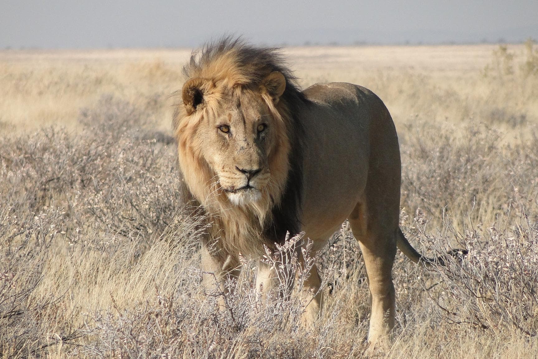 VIAGGIO IN NAMIBIA 4