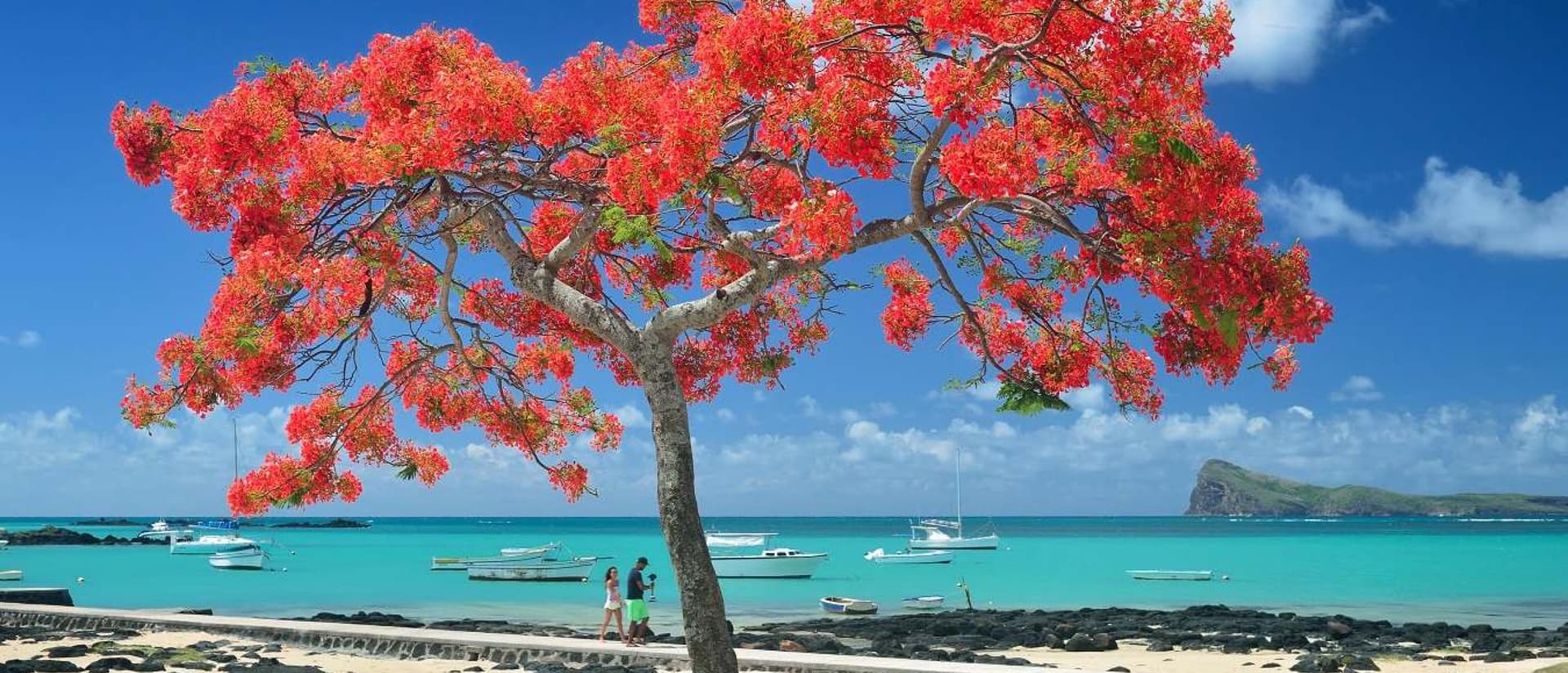 MAURITIUS MARE, TRADIZIONE & SCOPERTA 2