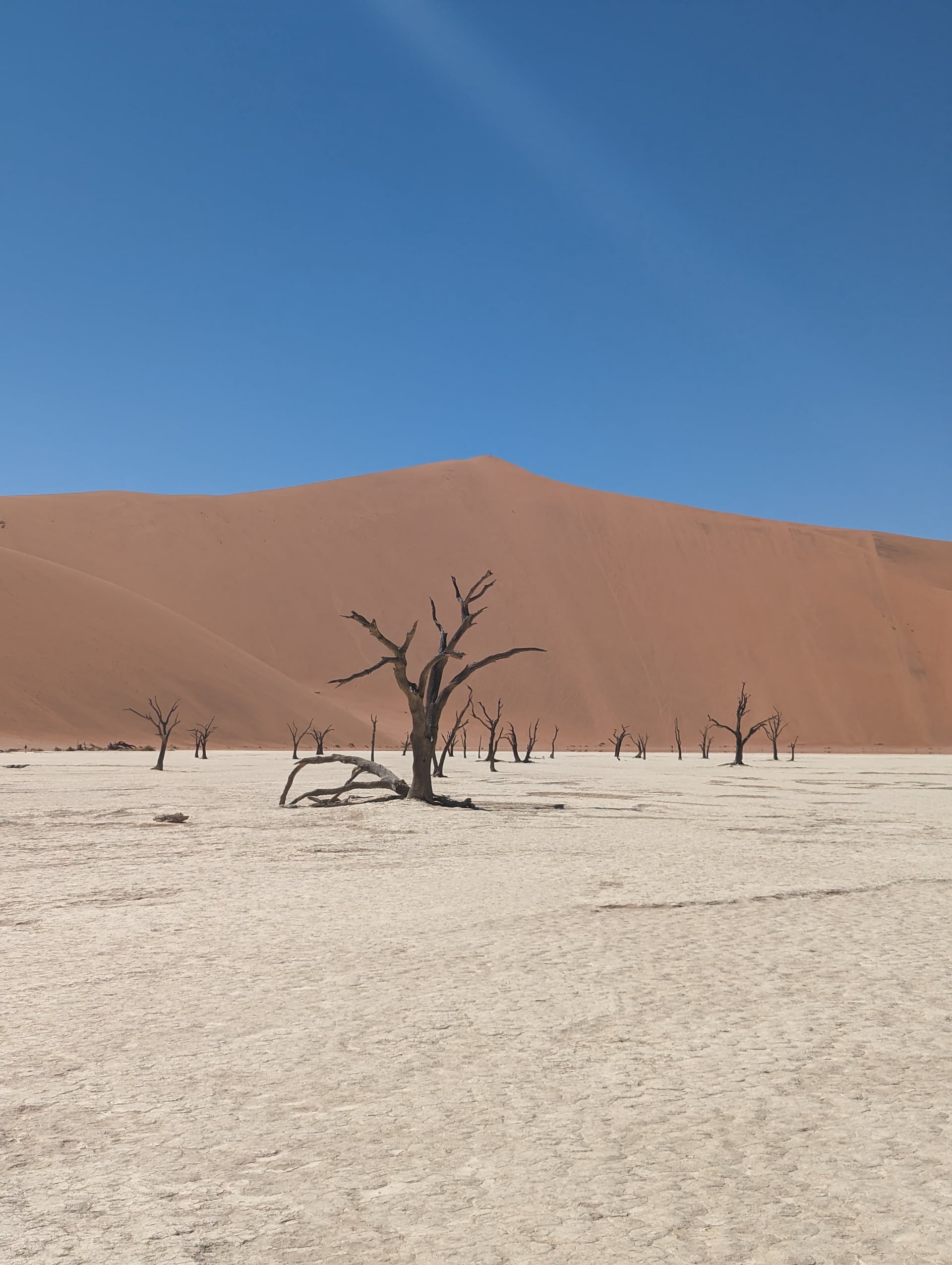 Regalati la Namibia 1