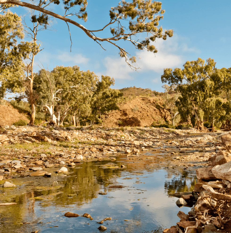 Australia, fauna e flora tra vigneti e outback - Scatto 5