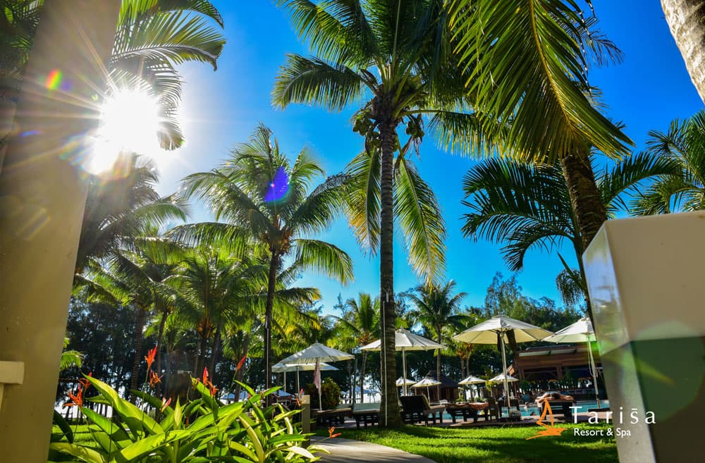 MAURITIUS MARE, TRADIZIONE & SCOPERTA 15