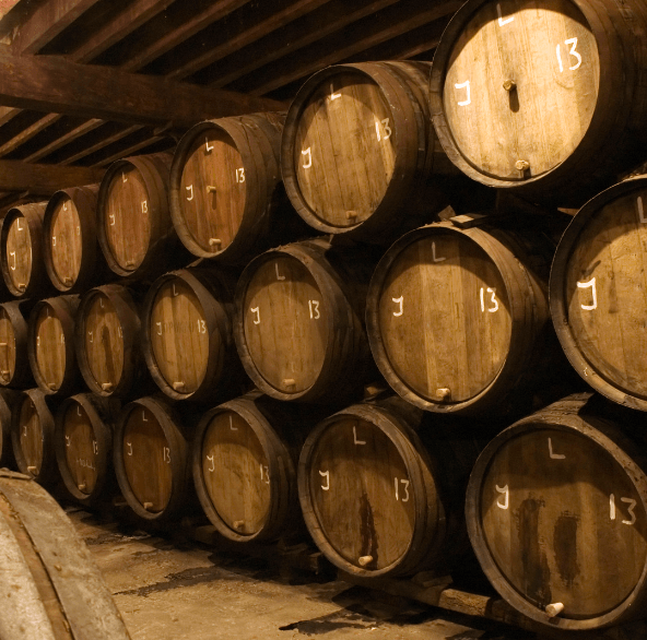 Tour dei Birrifici di Denver e Wyoming – USA - Scatto 2