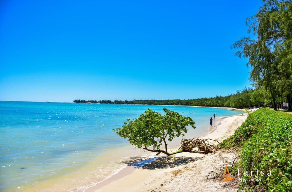 MAURITIUS MARE, TRADIZIONE & SCOPERTA 11
