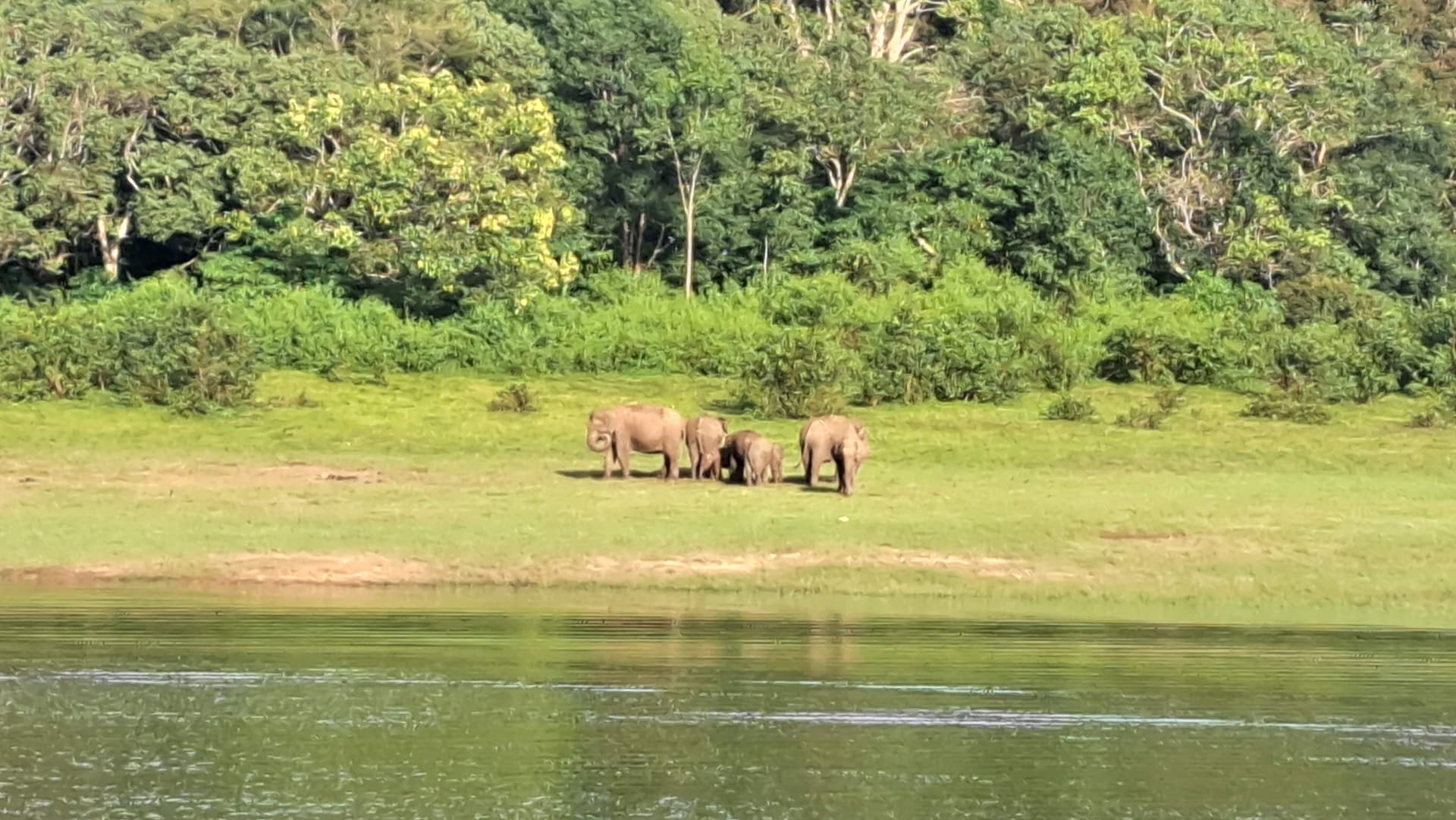 India del Sud - Scatto 11