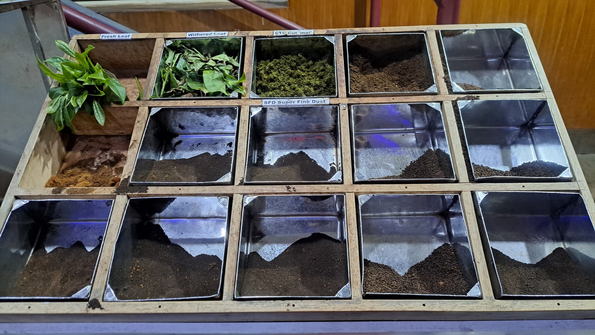 India del Sud - Scatto 4