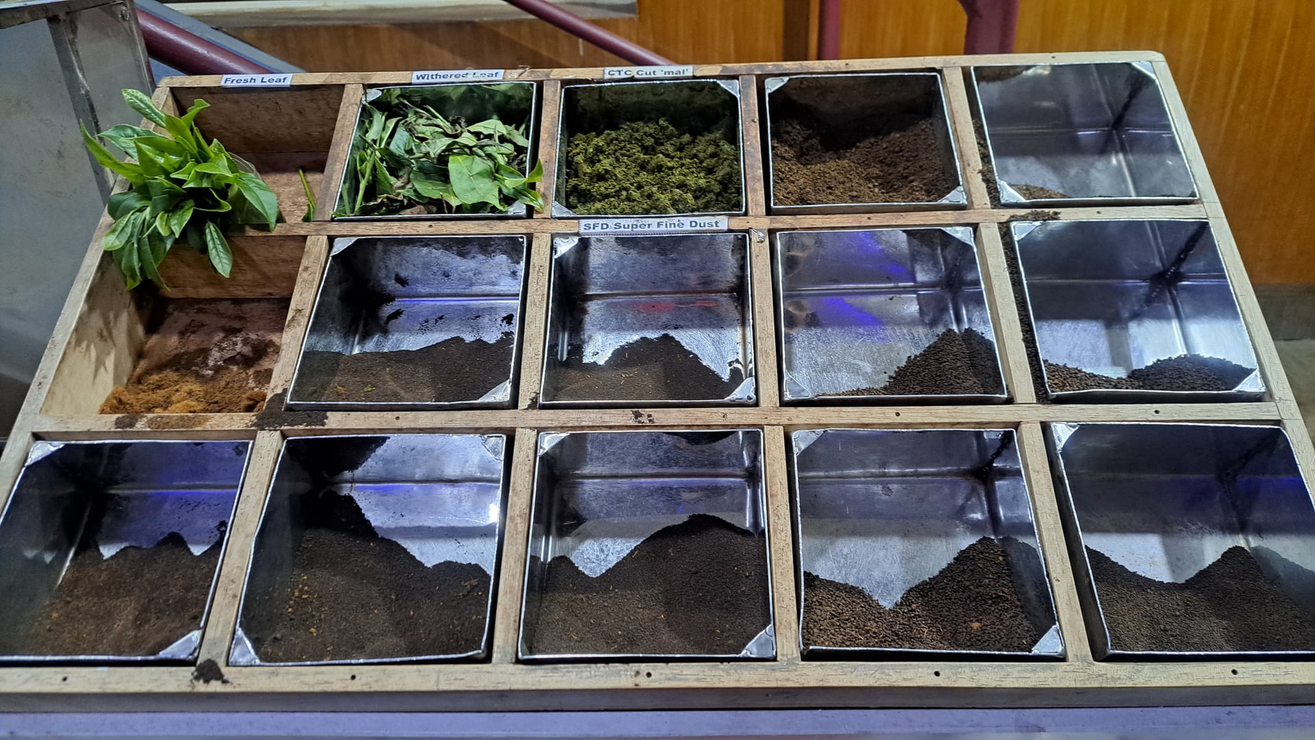 India del Sud - Scatto 4