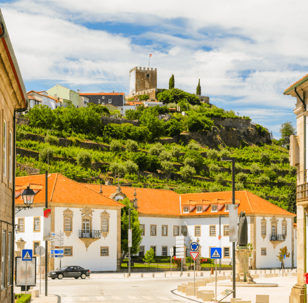 Portogallo, la strada dei vini - Scatto 8