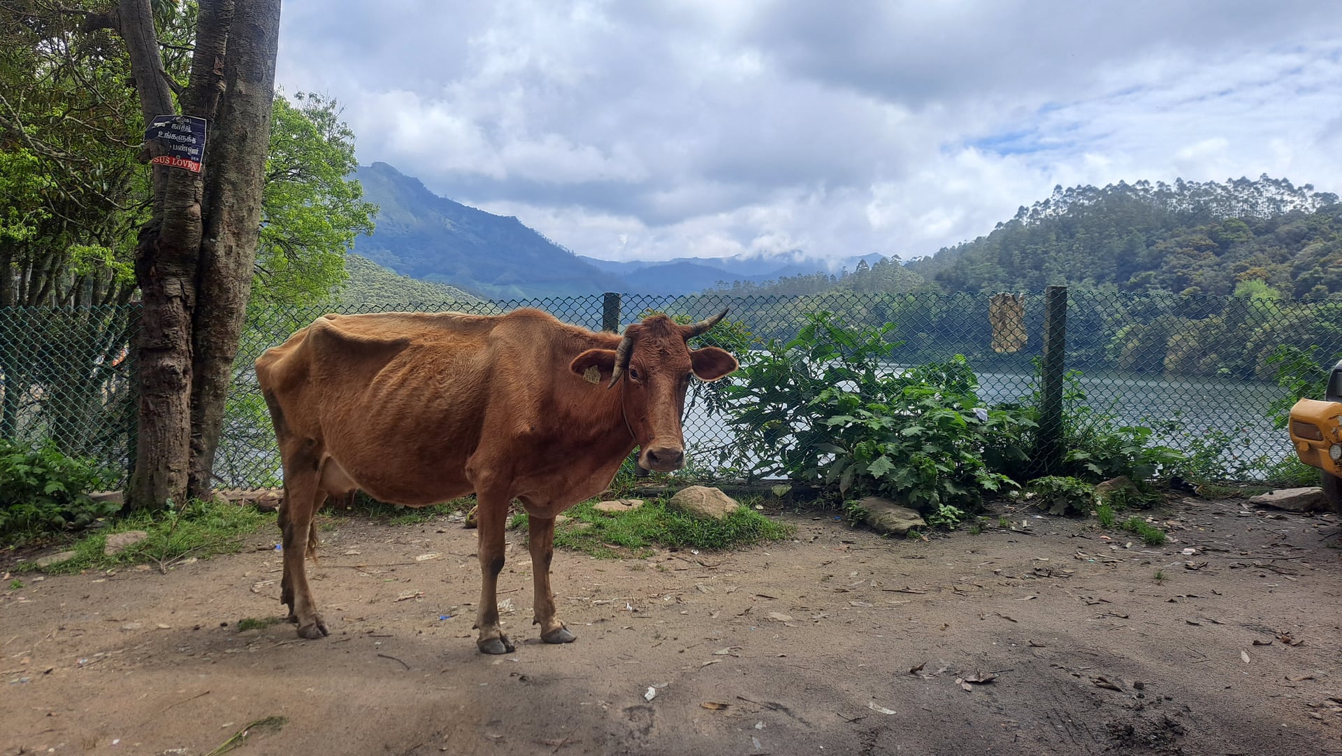 India del Sud - Scatto 3