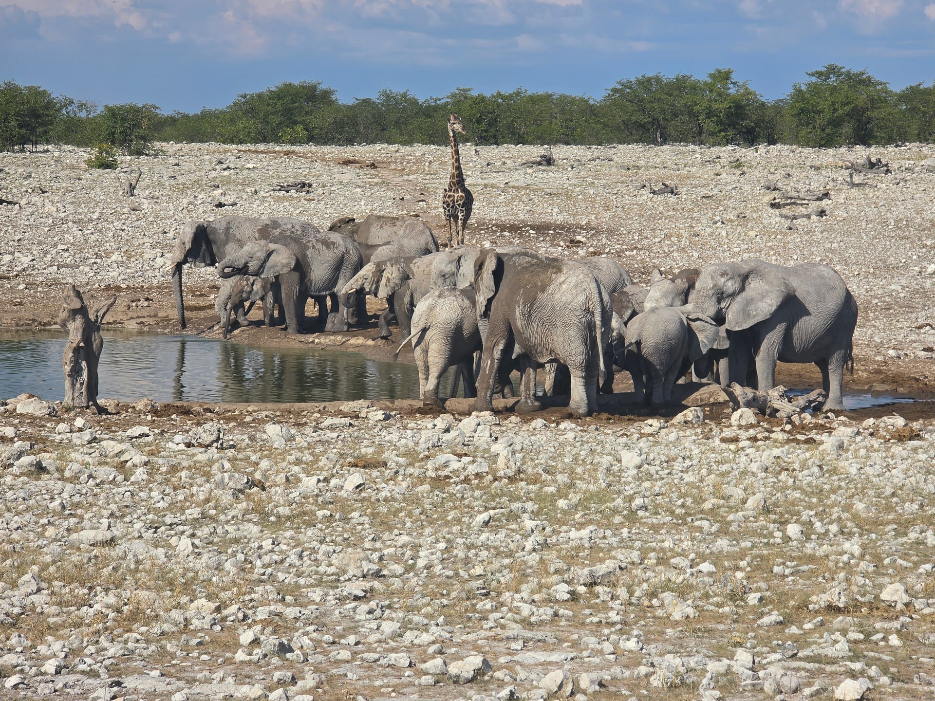 Regalati la Namibia 5