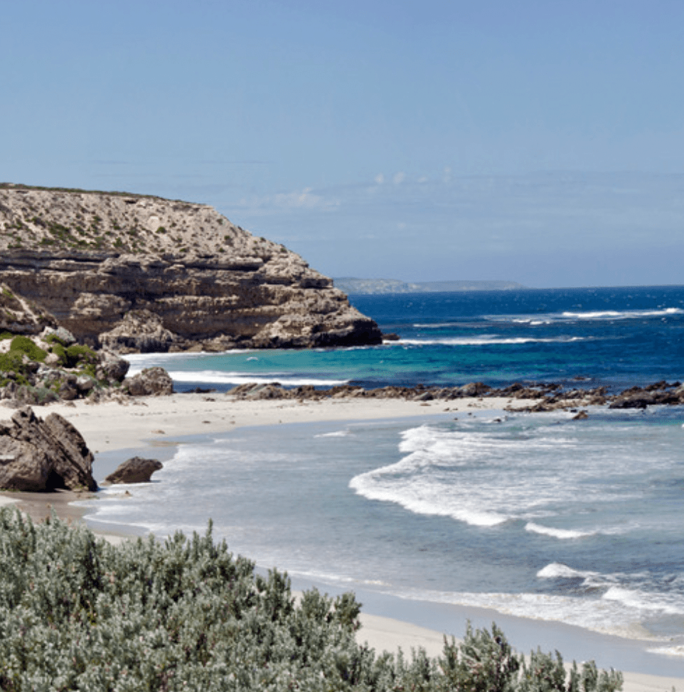 Australia, fauna e flora tra vigneti e outback - Scatto 4