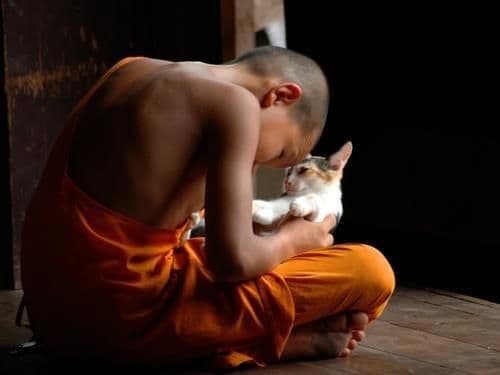 BANGKOK + THAILANDIA + BIRMANIA 58