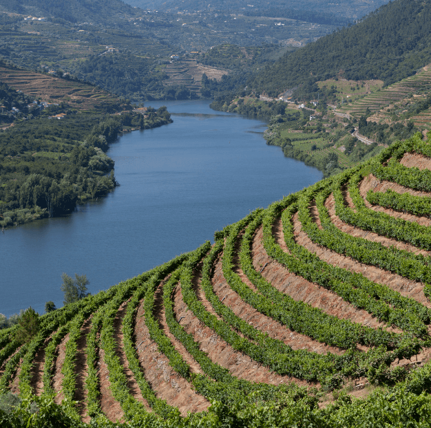 Portogallo, la strada dei vini - Scatto 6
