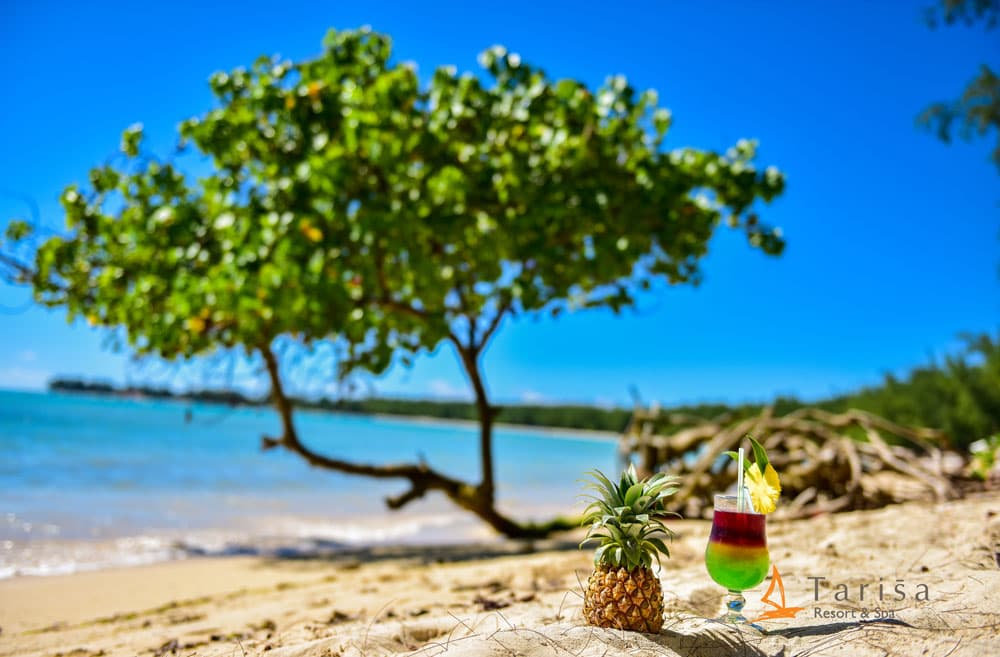 MAURITIUS MARE, TRADIZIONE & SCOPERTA 5