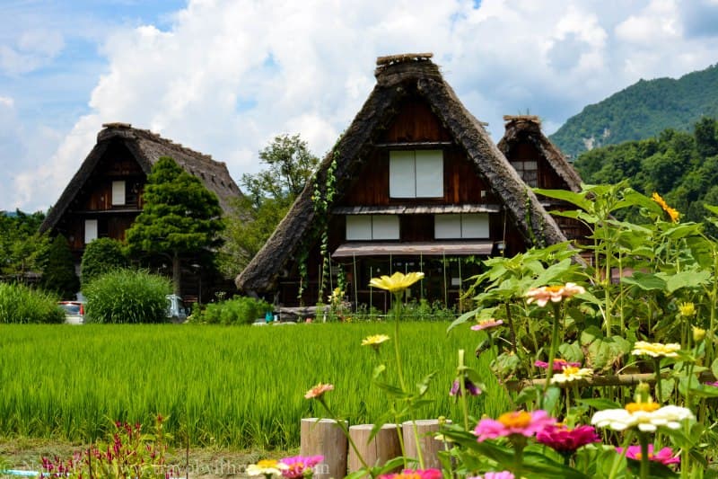 GIAPPONE + BANGKOK + KHAO LAK 47