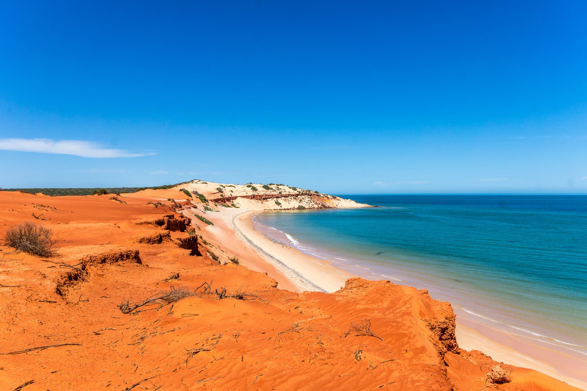 Dalla natura del Western Australia alle acque turchesi delle Fiji - Scatto 7