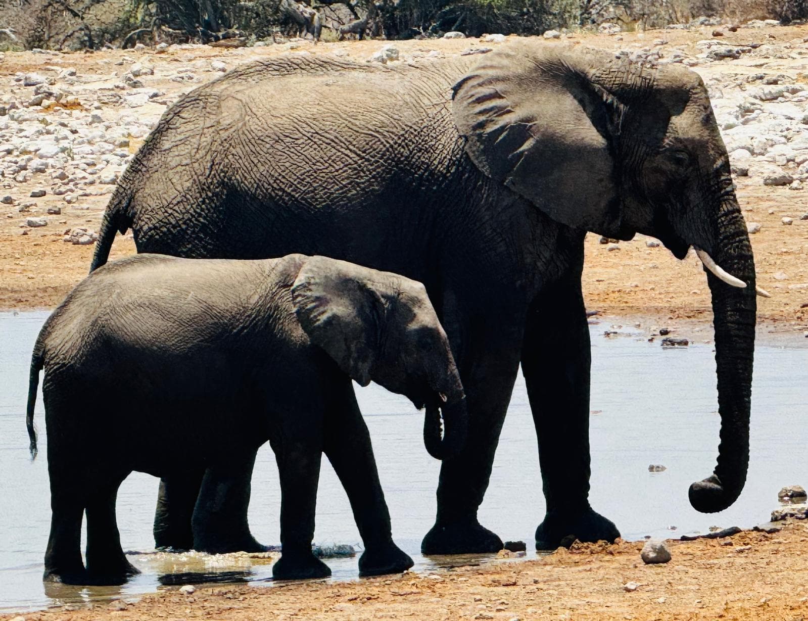 Namibia in gruppo - Scatto 1