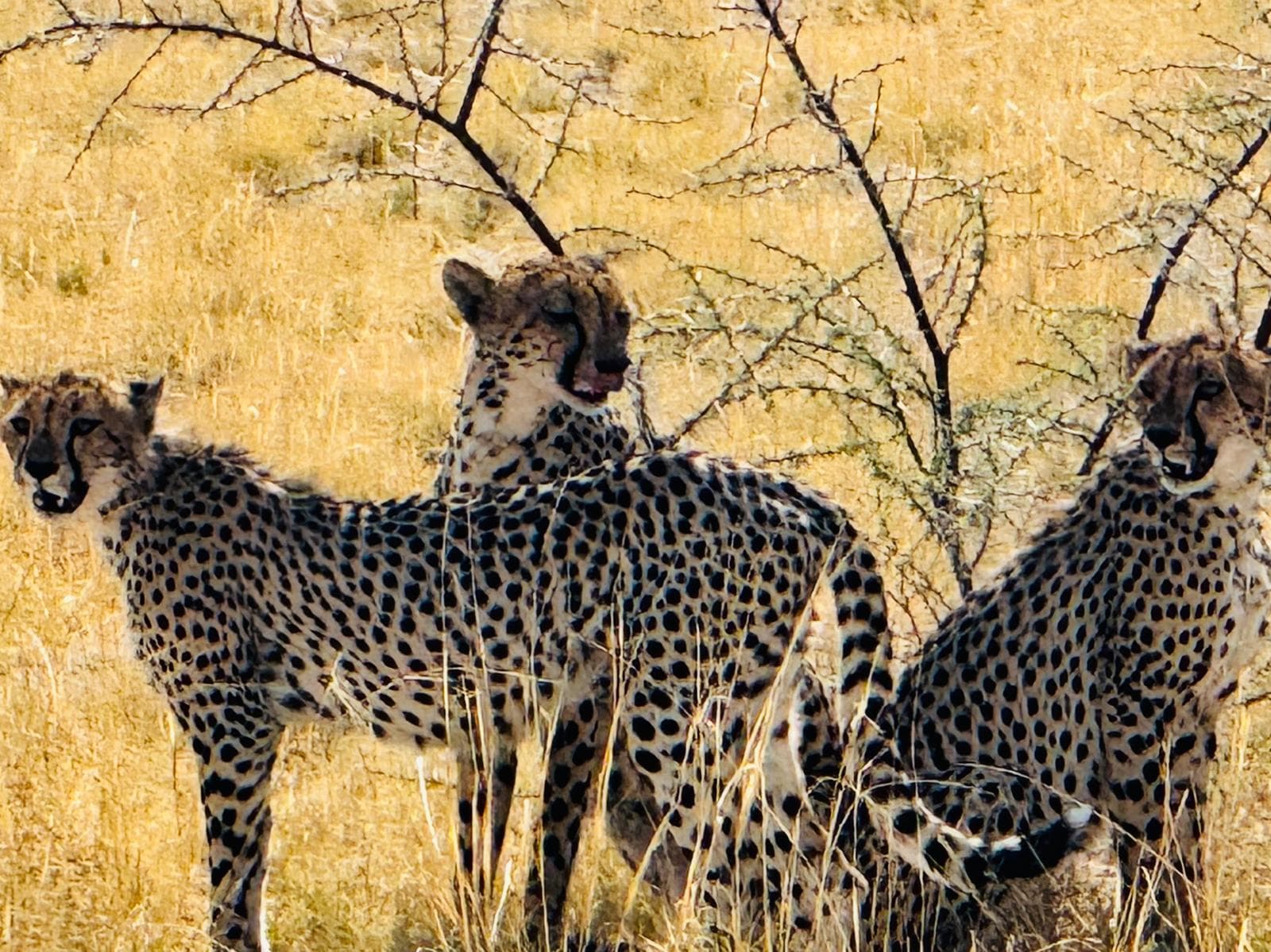 Namibia in gruppo - Scatto 2