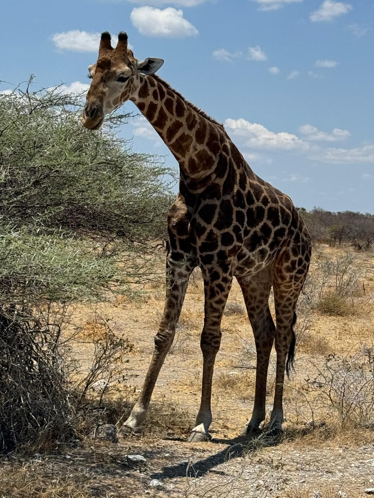 Namibia in gruppo - Scatto 3