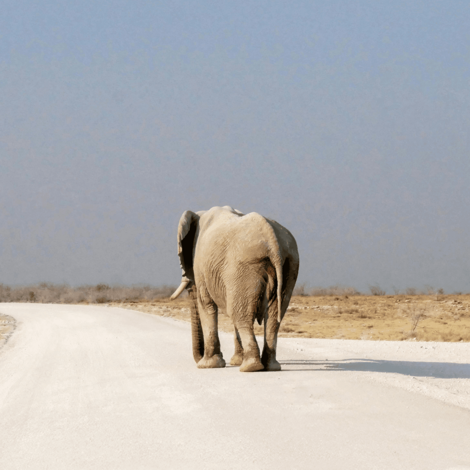 Namibia in gruppo - Scatto 7