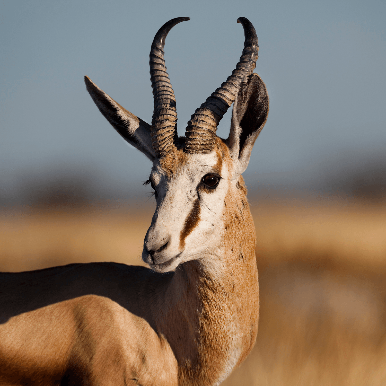 Namibia in gruppo - Scatto 8