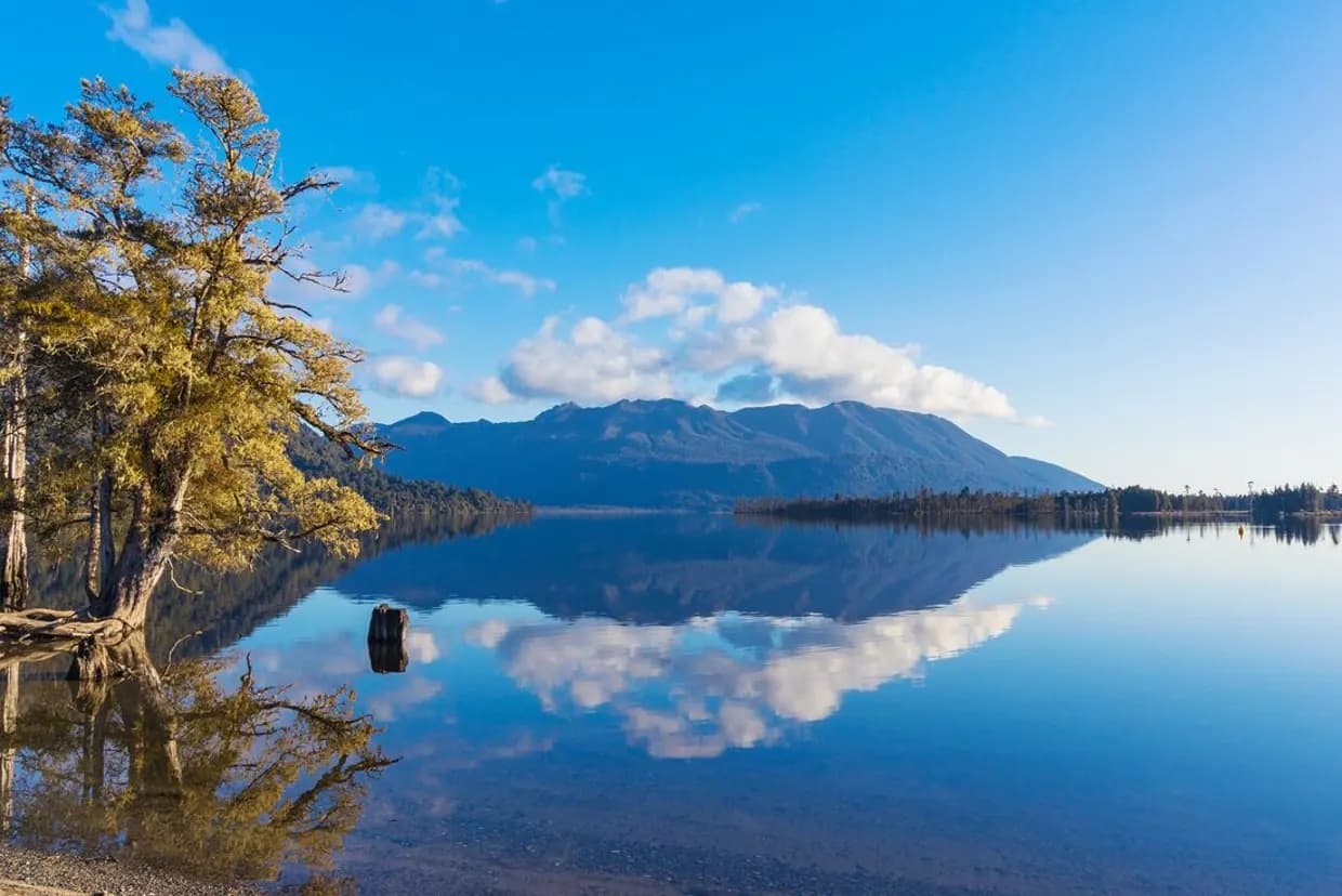 Nuova Zelanda Premium - Scatto 6