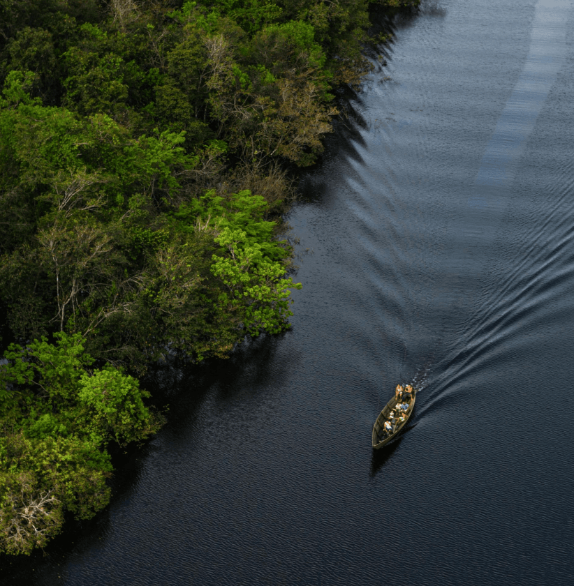 Avventura nella natura selvaggia del Brasile: Amazzonia e Pantanal - Scatto 1