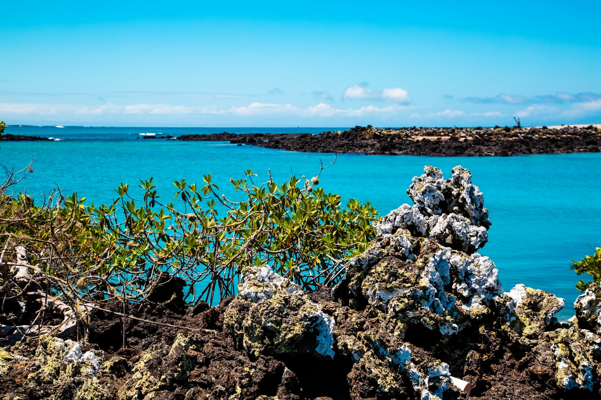 Meraviglie vulcaniche delle Galápagos - Scatto 9