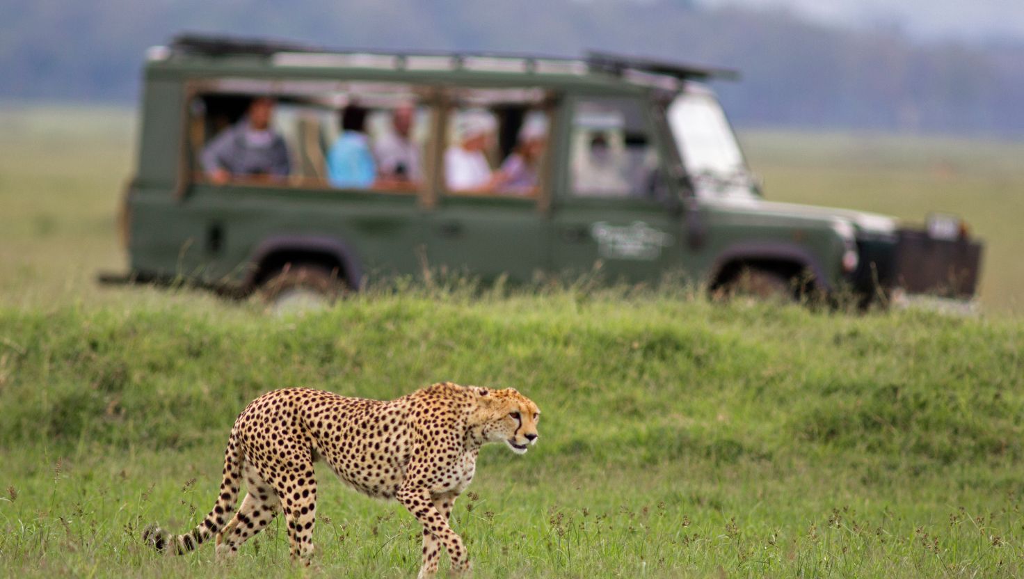 Safari in Africa